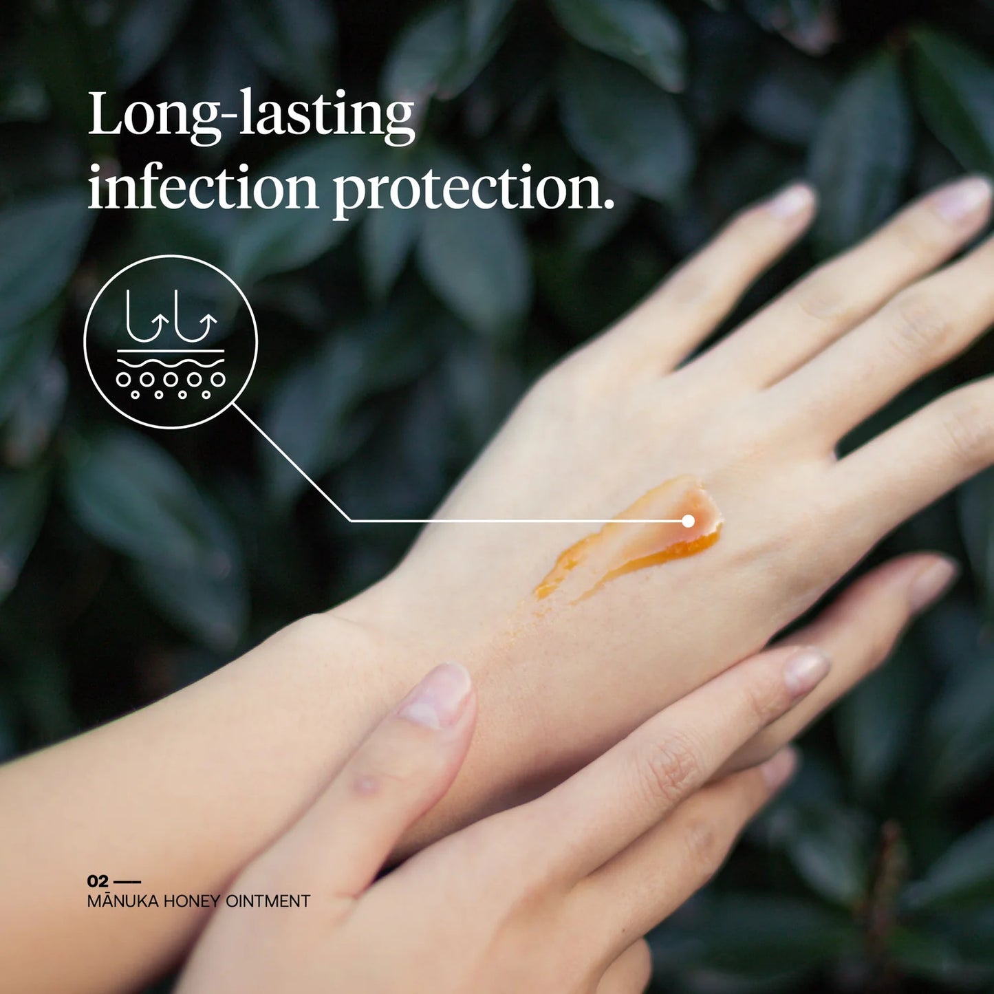 Mānuka Honey Wound Ointment