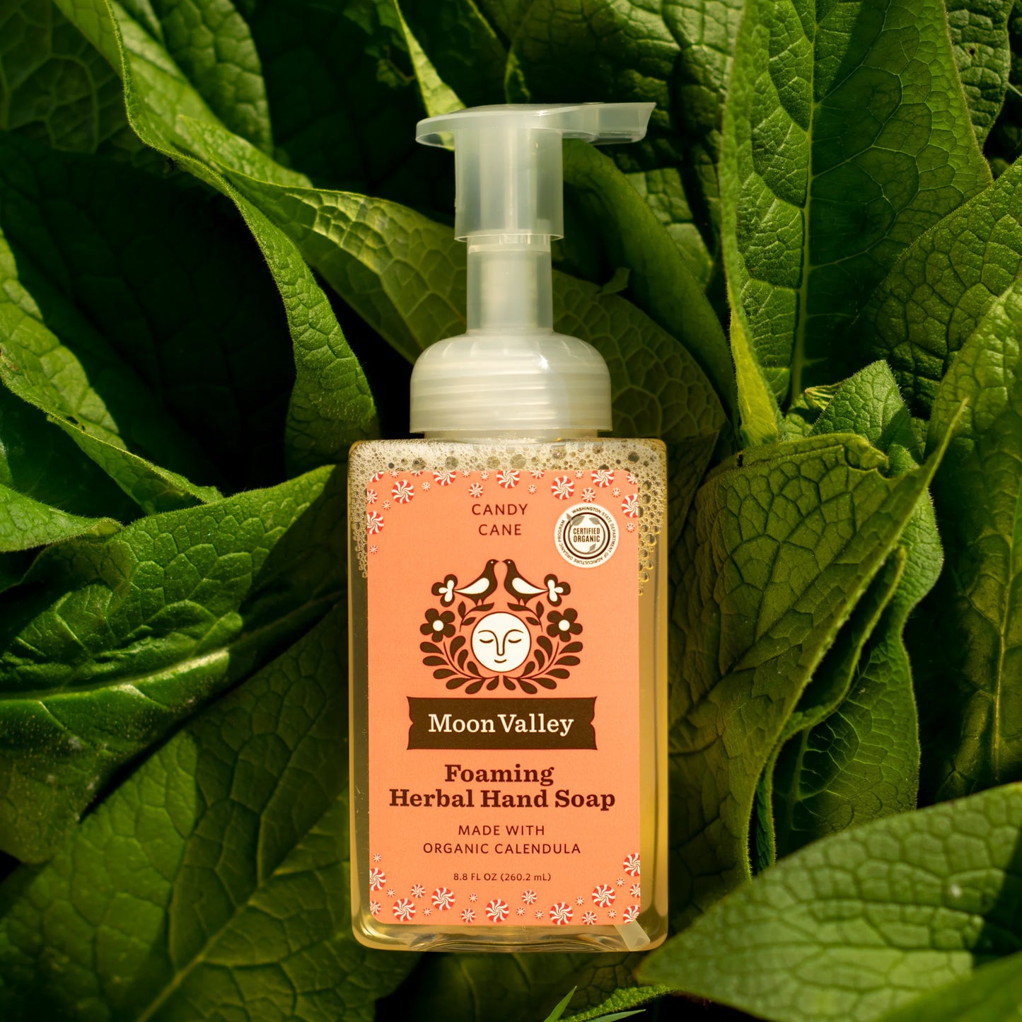 Seasonal Candy Cane Foaming Hand Soap