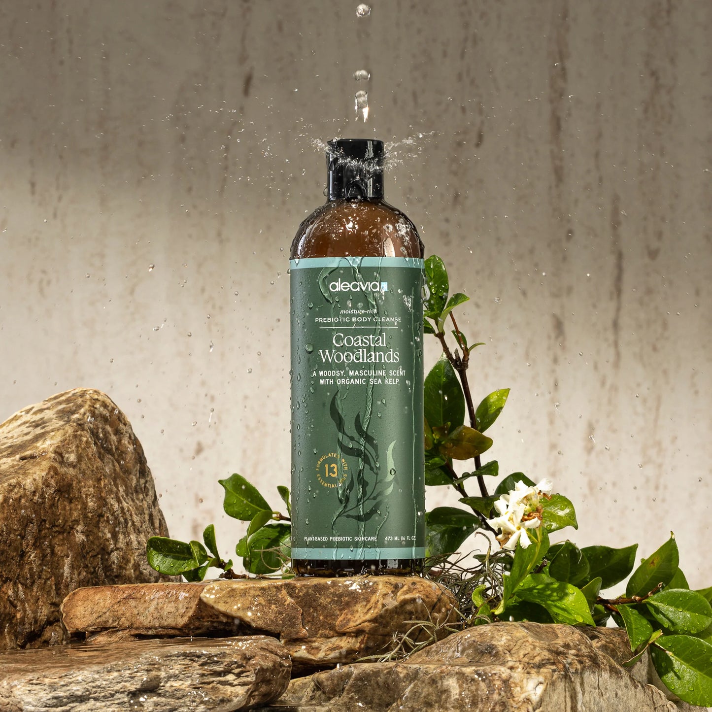 Coastal Woodlands Mens Body Cleanse - Prebiotic Body Wash