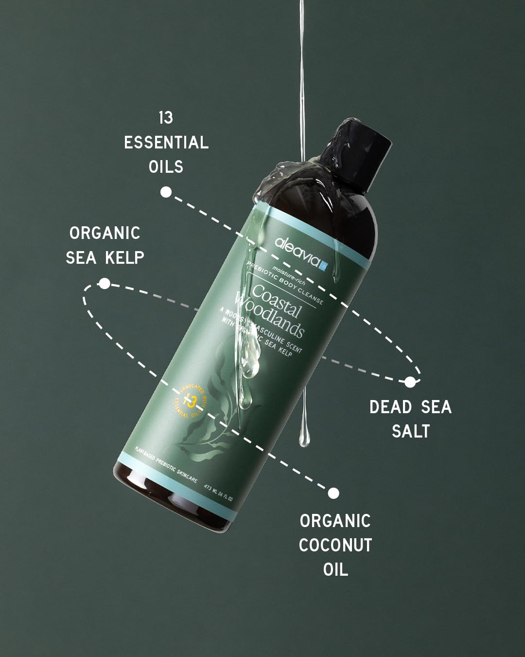 Coastal Woodlands Mens Body Cleanse - Prebiotic Body Wash