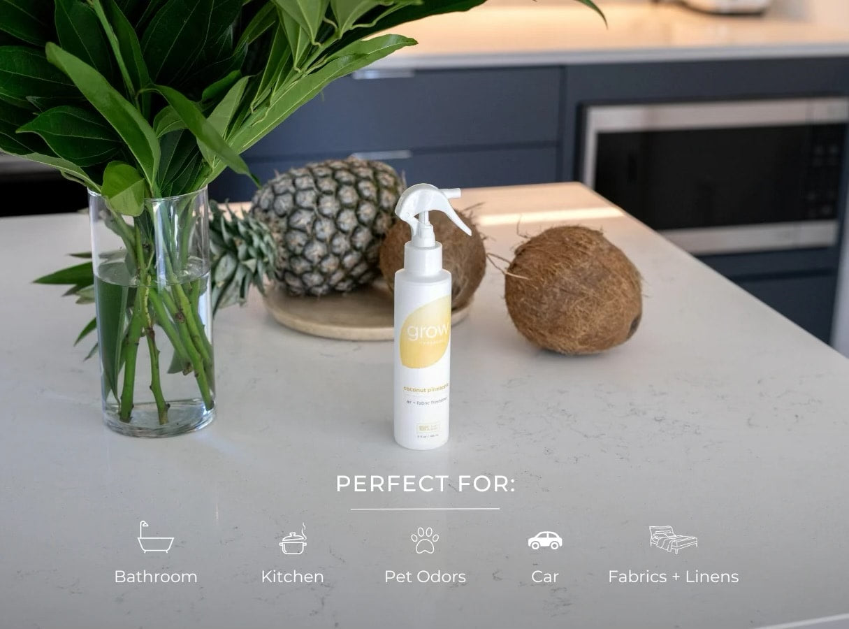 Coconut Pineapple Air & Fabric Freshener