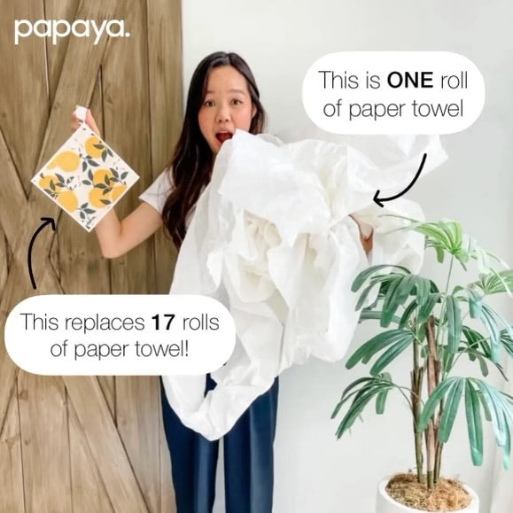 Squeeze the Day - Reusable Paper Towels