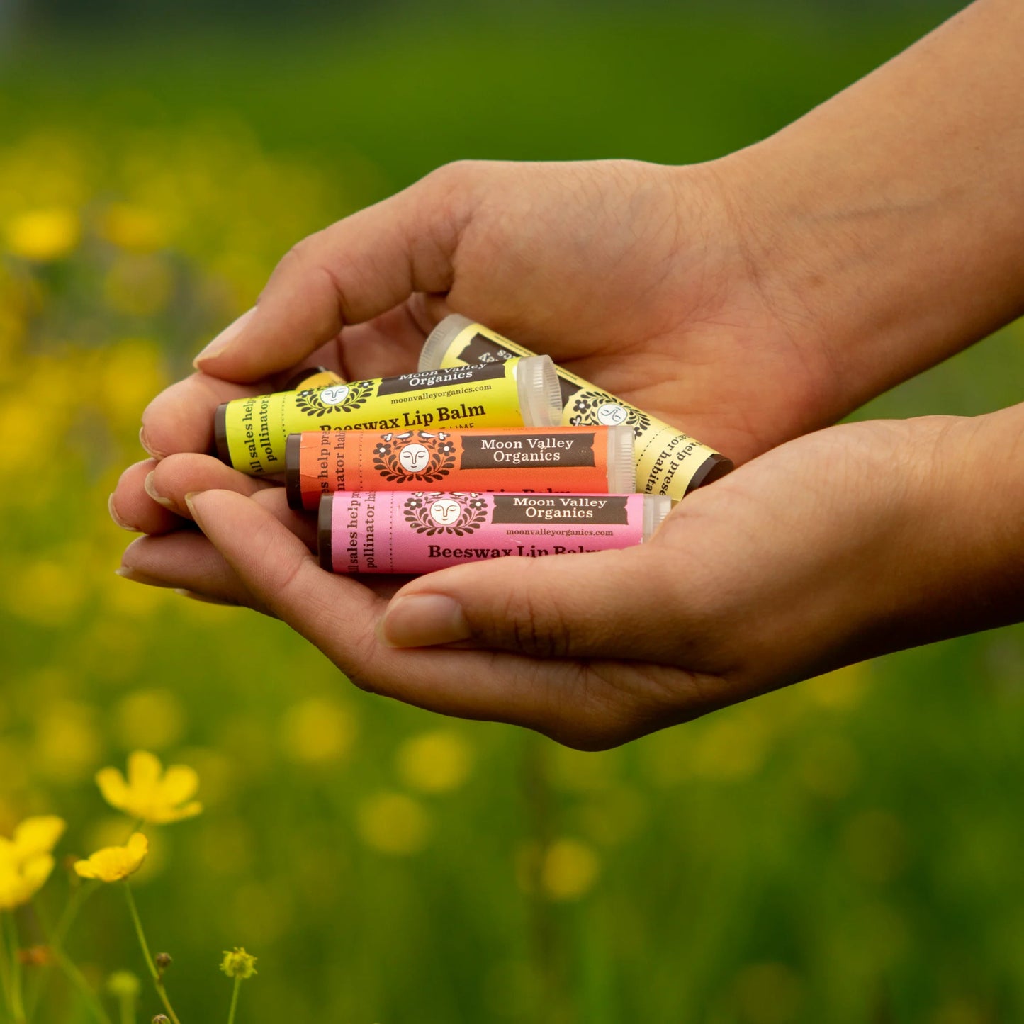 Organic Beeswax Lip Balm 5-Pack