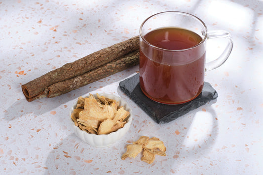 Focus Elixir Functional Mushroom Tea - Spicy Chai