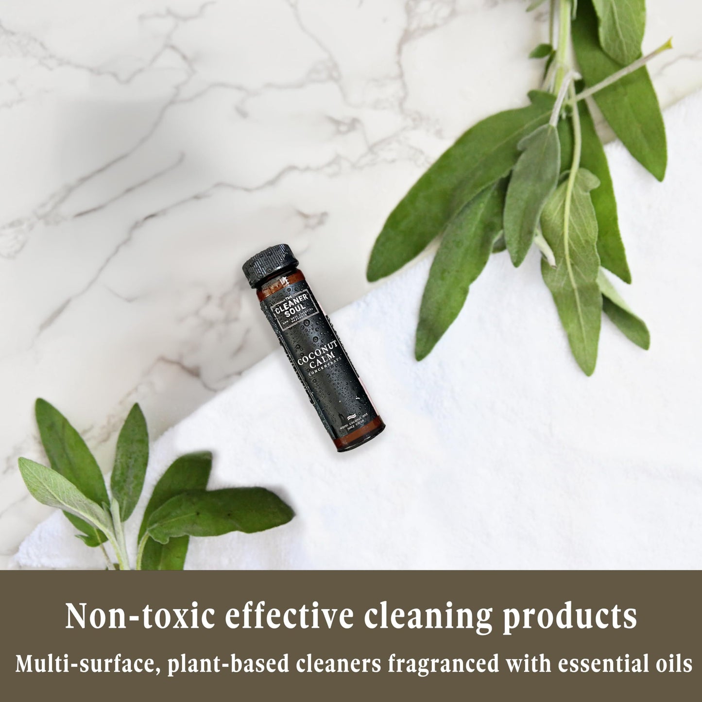 All-Purpose Non-Toxic Cleaner - Breathe Eucalyptus - Bottle & Refill